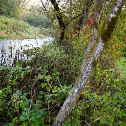 Iowa Trail Run Series: Yellow River State Forest