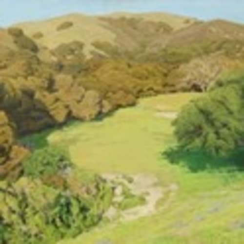 Toro Park Trail Runners