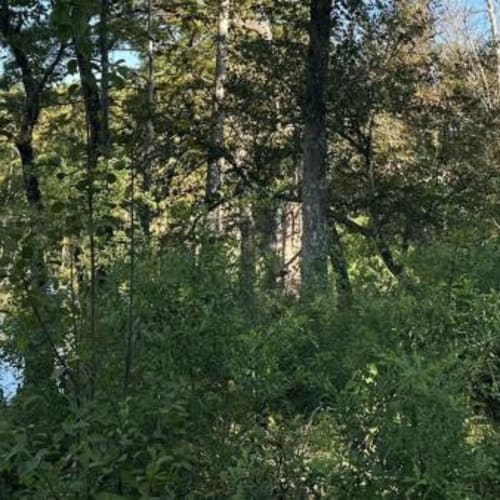 No Man's Land Trail Run