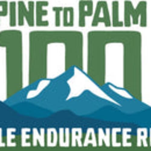 Pine to Palm 100