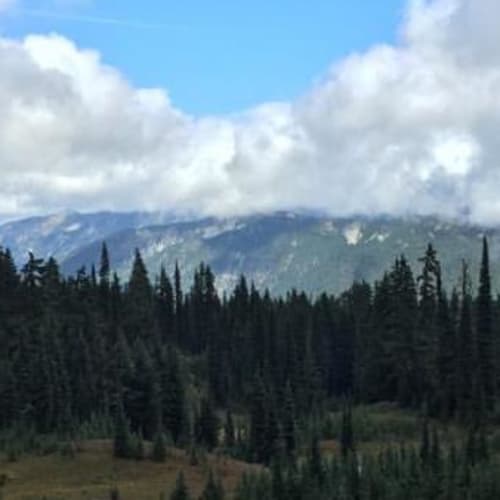 CWES - Chinook Pass