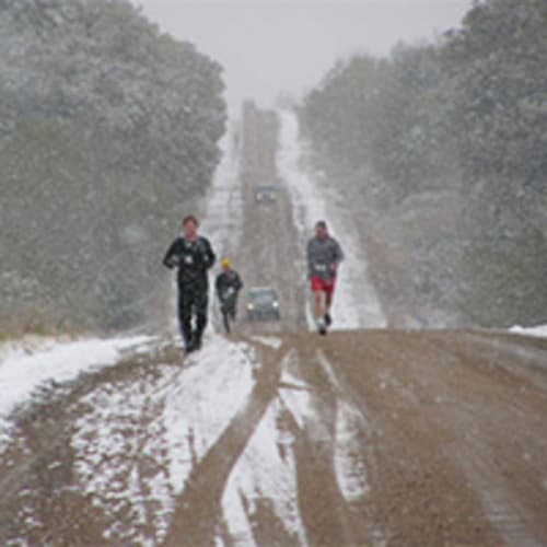 Bohemian Alps 50K