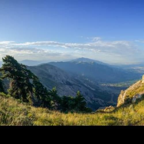 Skyline Mountain Half, Marathon, 55K