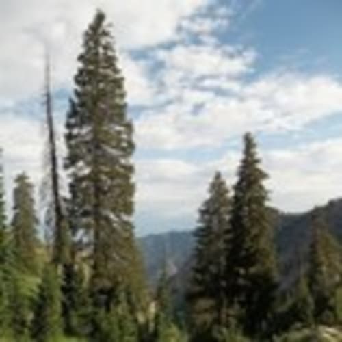 Cache Valley Trail Runners
