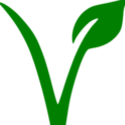 Bay Area Vegan Runners and Cyclists
