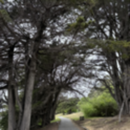 Fourth Street Berkeley Run Club