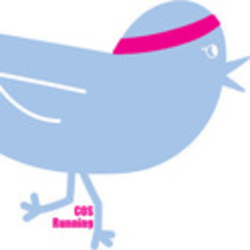 Chicks on Sticks VT