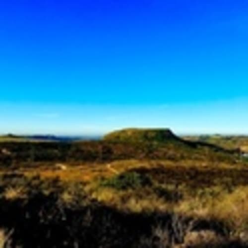 Calavera Trail Runners