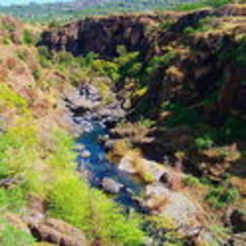 Chico Trail Runners