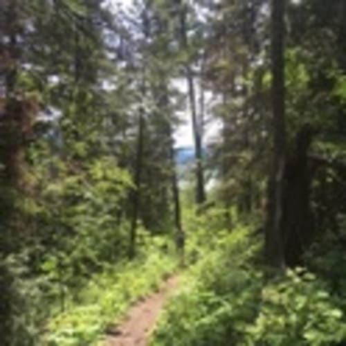 Missoula Trail Crew