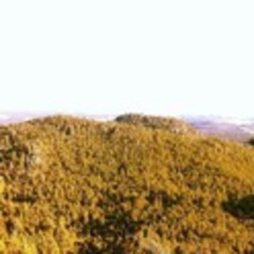Black Hills Runners