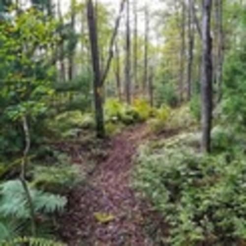 Central PA Trail Runners