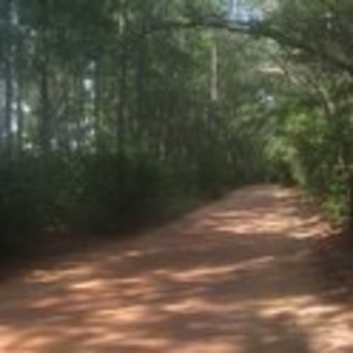 Wiregrass Runners