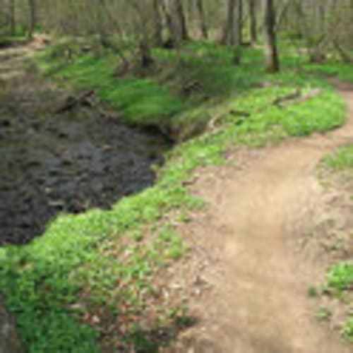 Patapsco Trail Runners