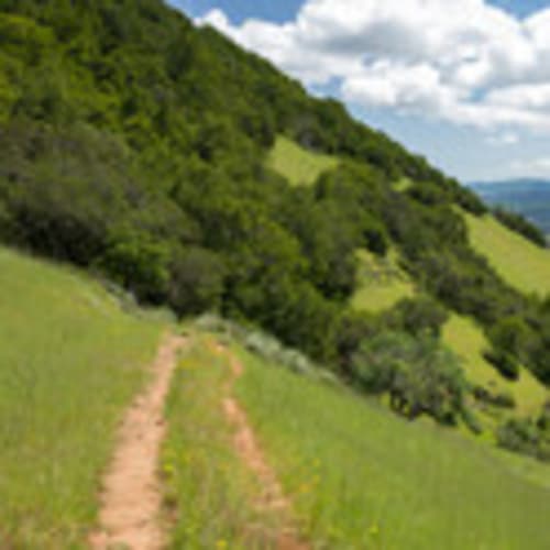 Novato Trail Tribe