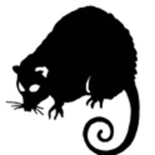 Team Possum