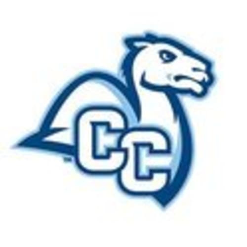 CONNXCTF CAMELS