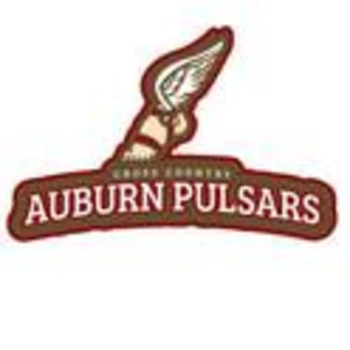 Pulsars