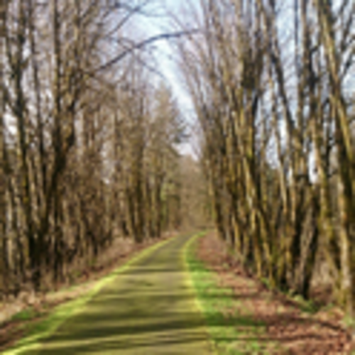 100 Miles Per Month - Oregon