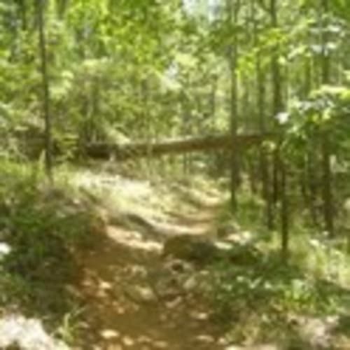 Forks Area Trail System - FATS