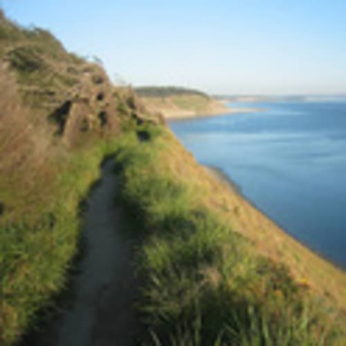 Whidbey Island Run Crew