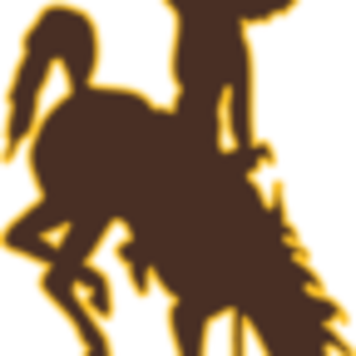 Wyoming Runners