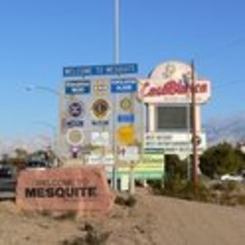 Mesquite Runners
