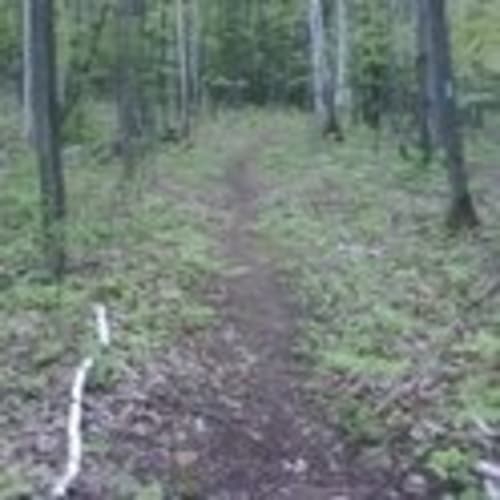 Marquette Trail Running