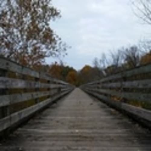 Lenawee Runs