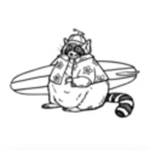 Raccoon Run Club