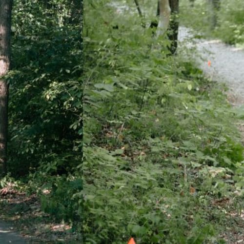 Orrrc Darby Creek Bison 10k Trail Race