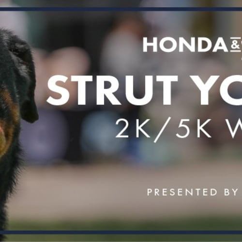 Strut Your Mutt 2k/5k