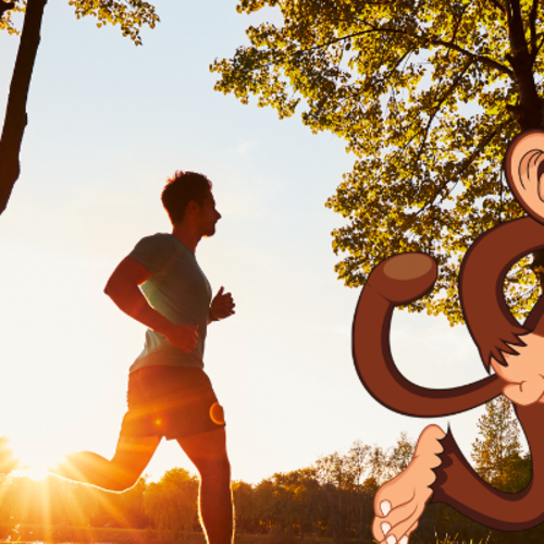 Cheeky Monkey 24