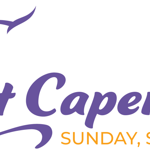 Cat Caper 5k