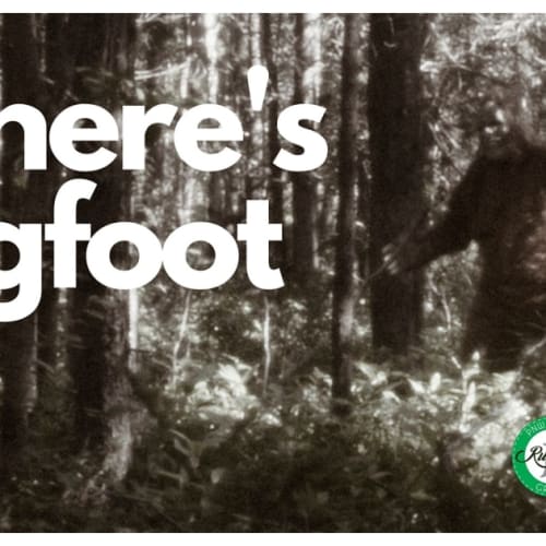 Where's Bigfoot 5k