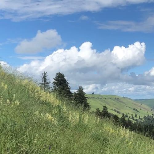 Jasper Mountain Trail Fest 2026