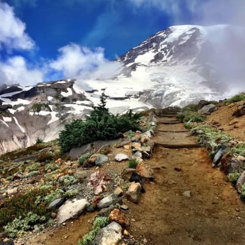 Washington Trail Runners