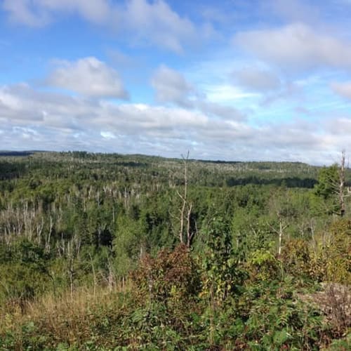 Twin Cities Trail Runners