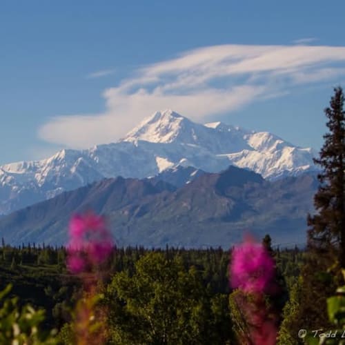 AK Runners Training Group