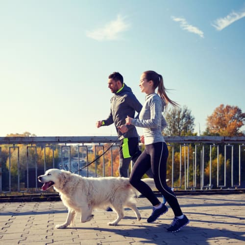 Pax & Pace (And Pups) Run Club