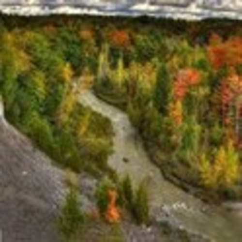 Rouge Valley Trail Runners