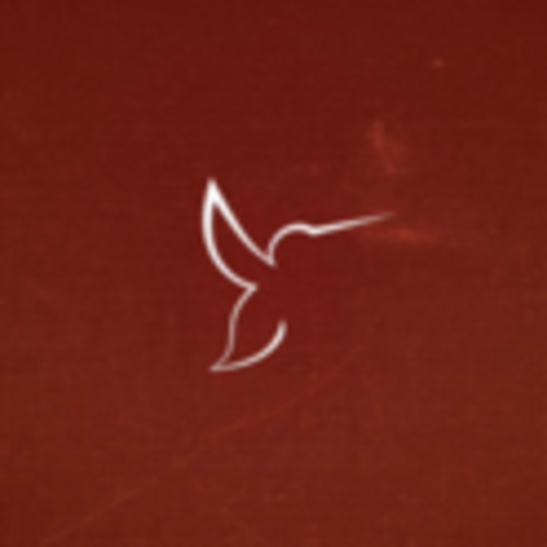 Hummingbird Run Club