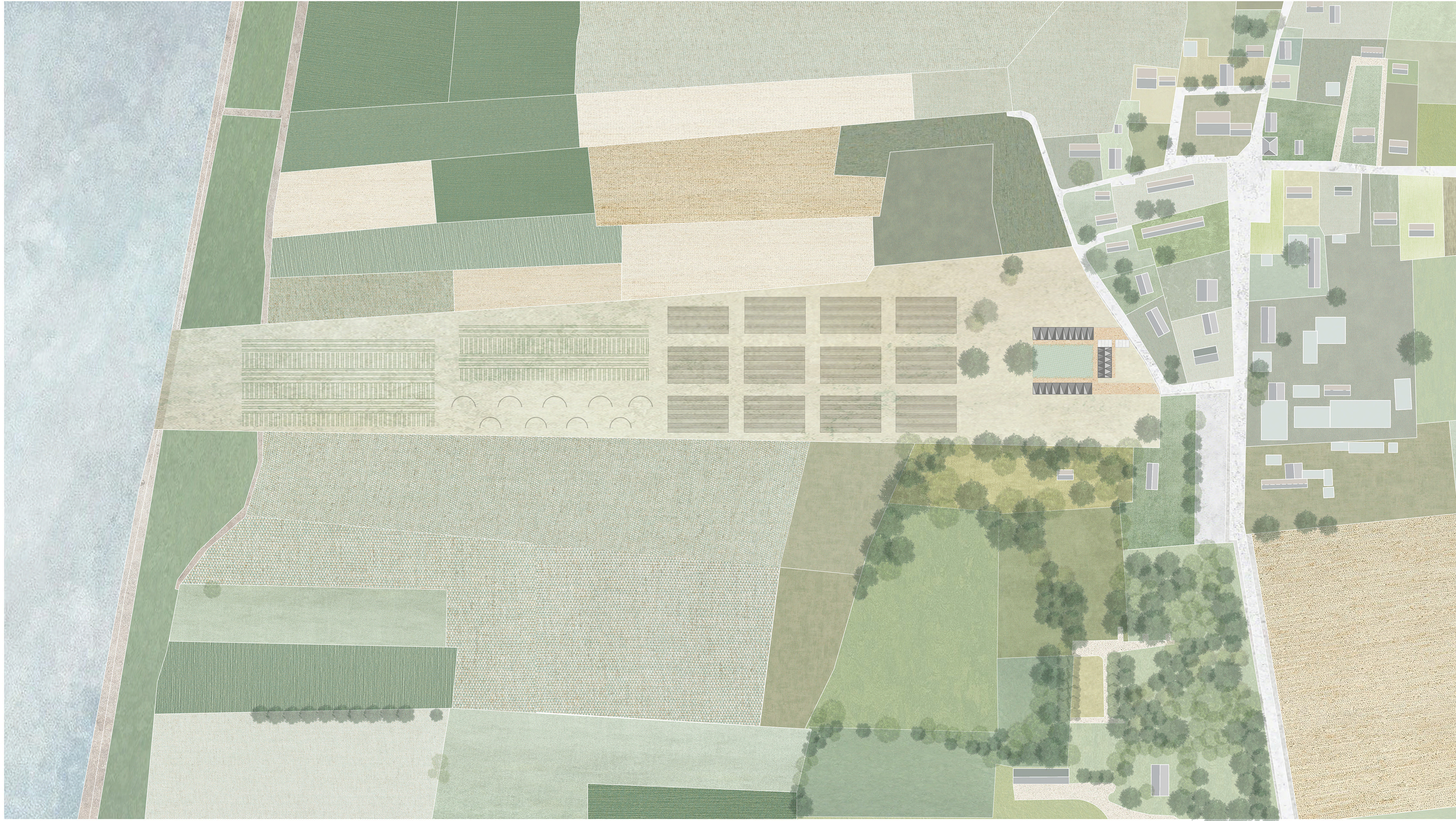 Plan masse site projeté