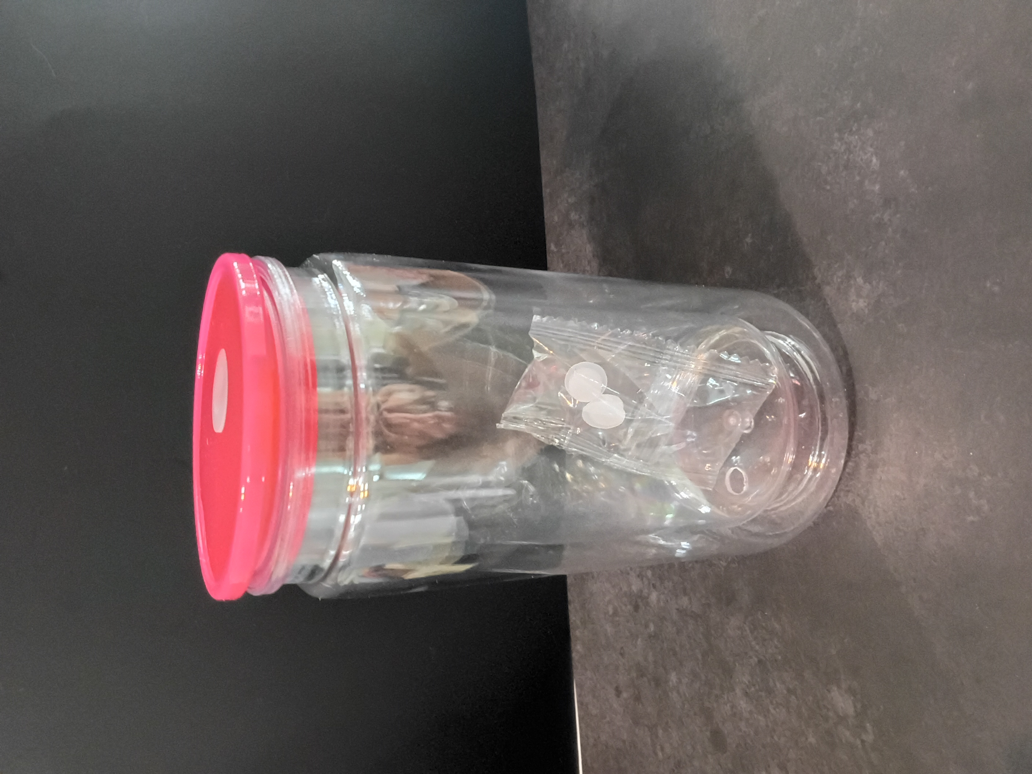 16 oz Acrylic Snowglobe Tumbler