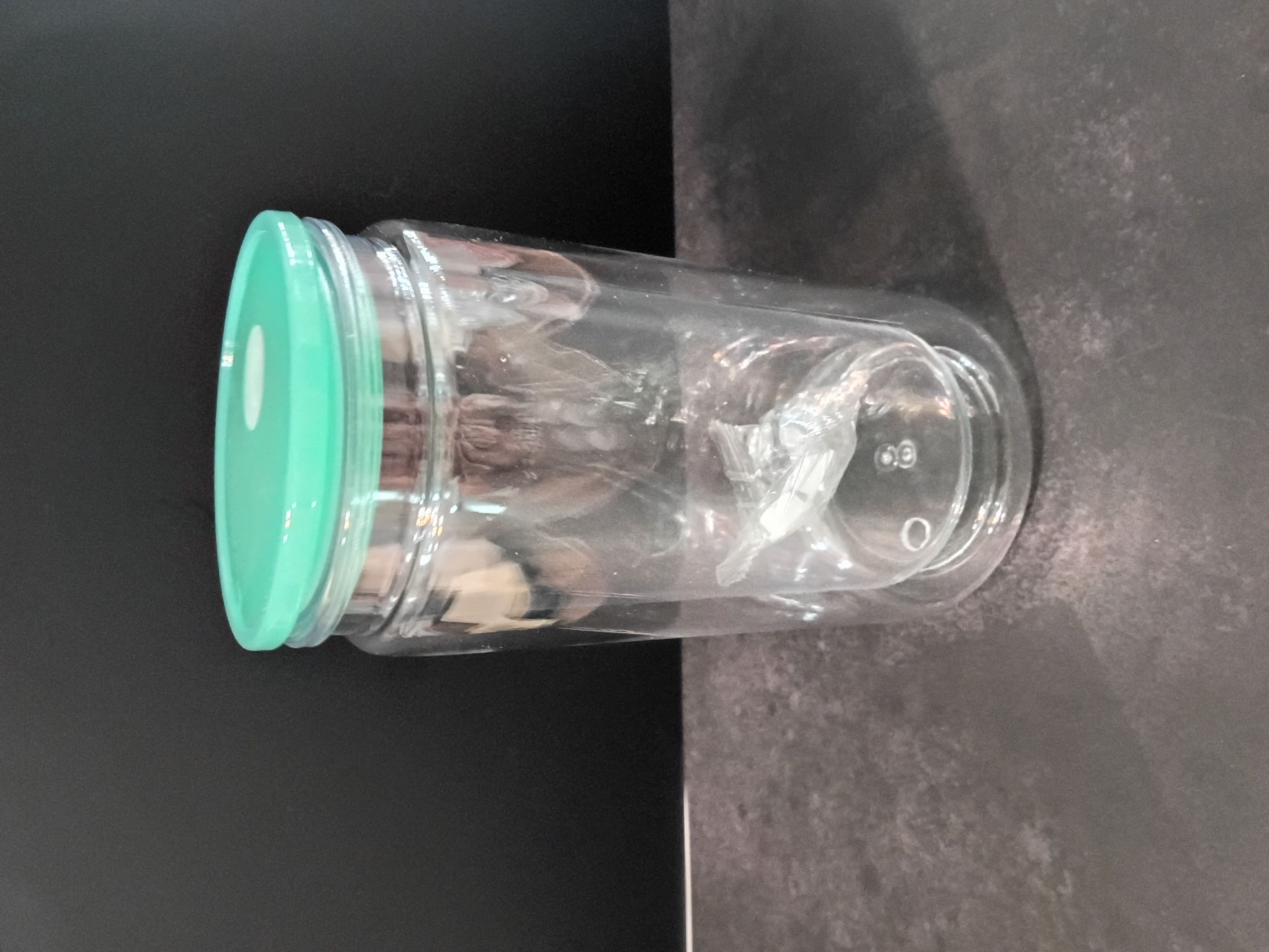 16 oz Acrylic Snowglobe Cup