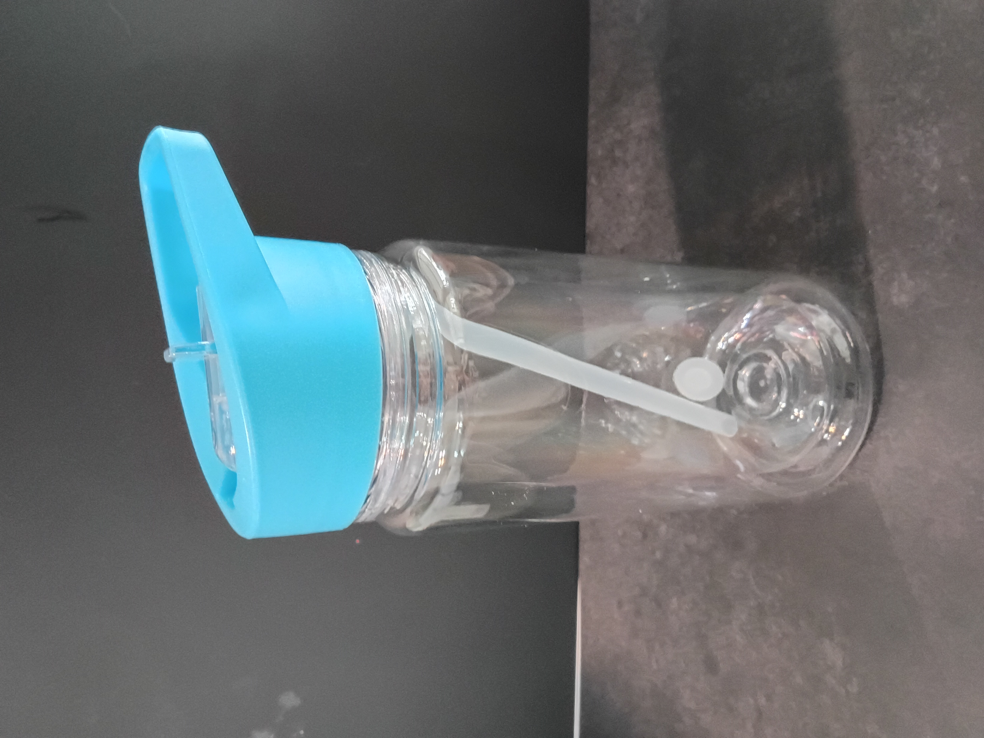 10 oz Sippy Snowglobe Cup