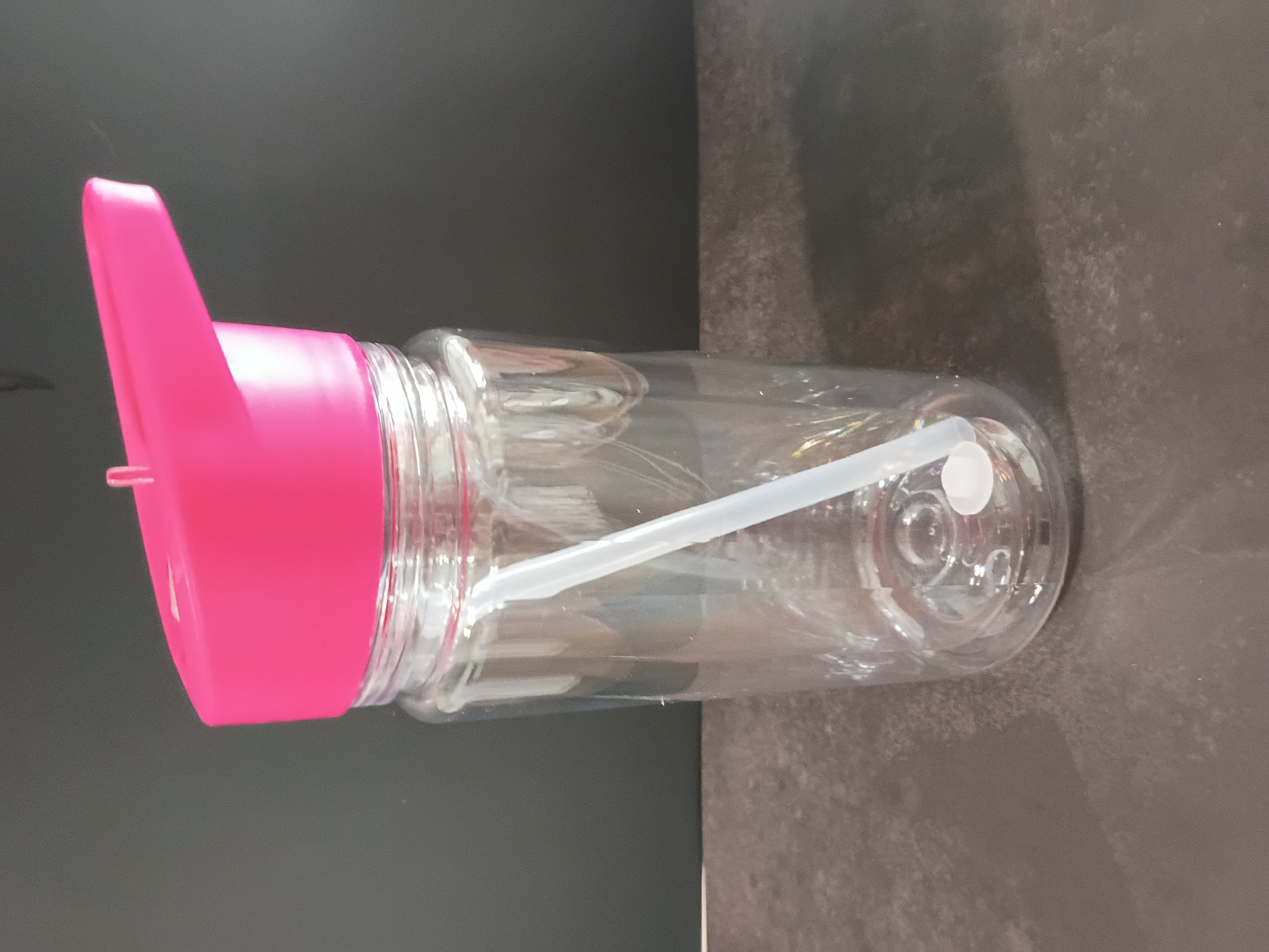 10 oz Acrylic Sippy Snowglobe Cup