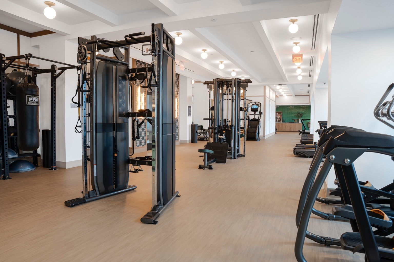 Matrix Fitness cable equipment at The Vermeer apartment building in Washington DC — commercial fitness photography