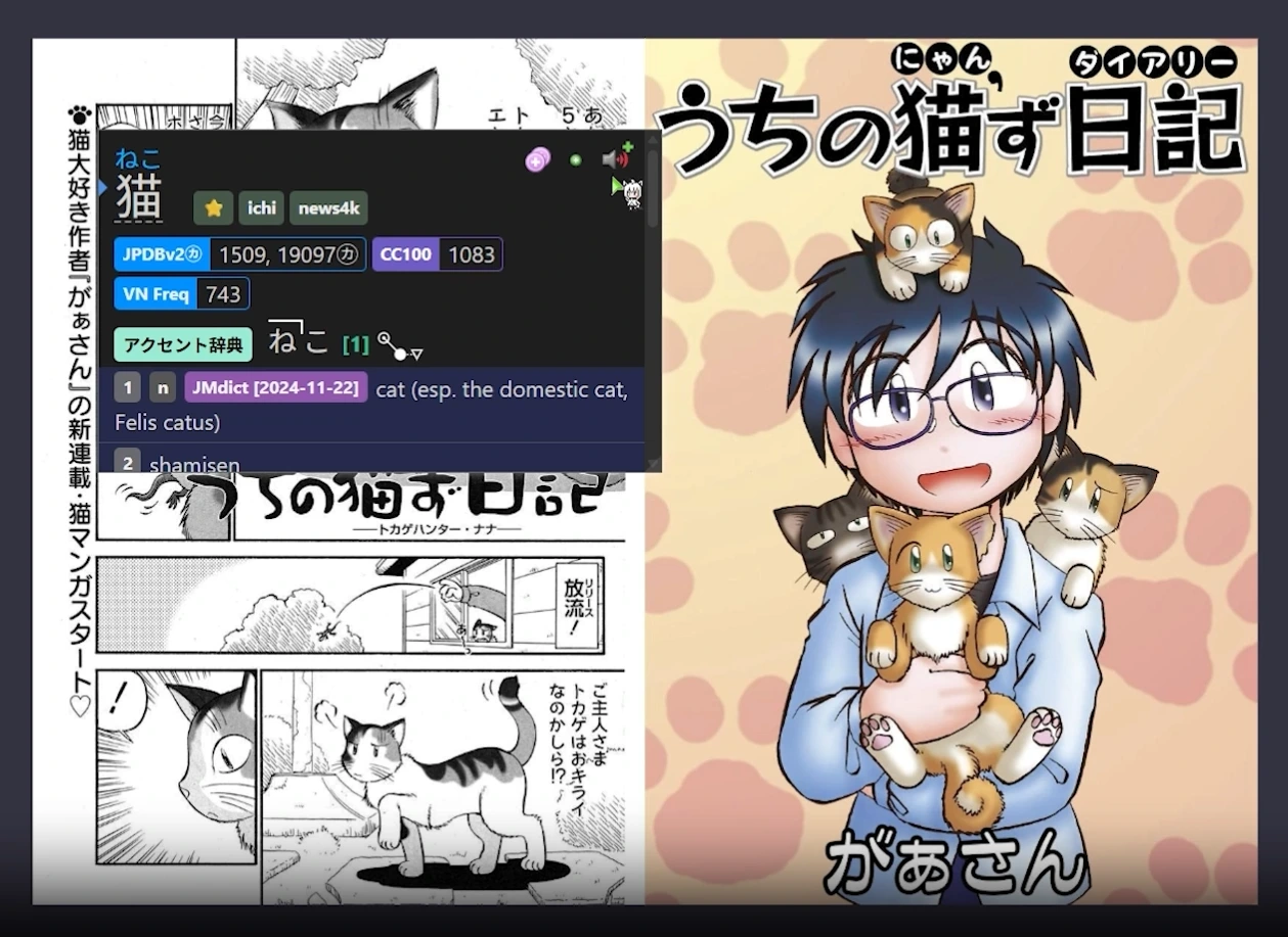 Yomitan in action showing dictionary popup