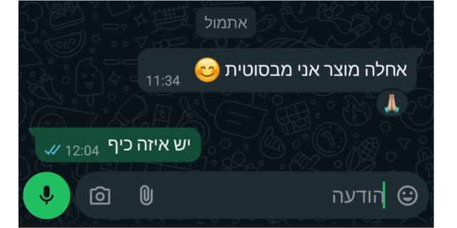 ביקורת לקוח 2